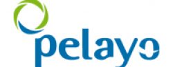 logo-vector-pelayo